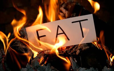 Wondering why your metablism is not burning fat?