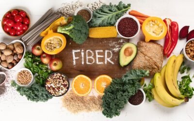 Why fiber is so important in the diet?